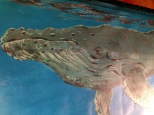 1004037_10151458322854499_748501651_n